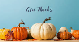 Moonbeams Staff- What we are thankful for