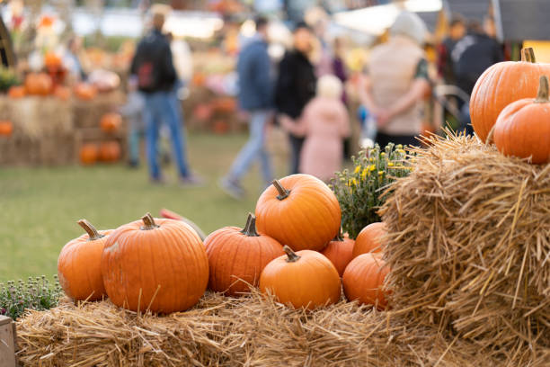 Local Halloween Activities