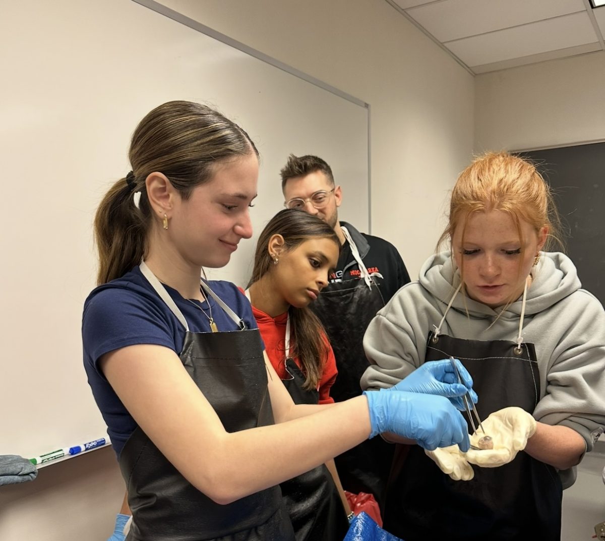 Danica Bacu at Cadaver Lab