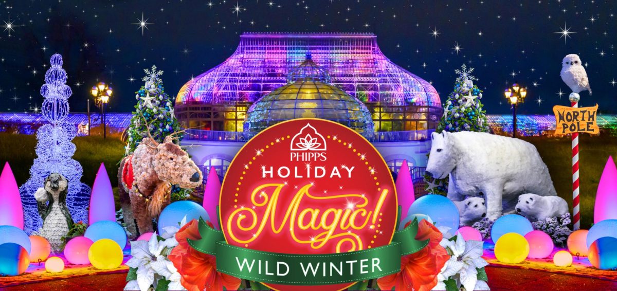 Check out Phipps Holiday Magic this Winter!