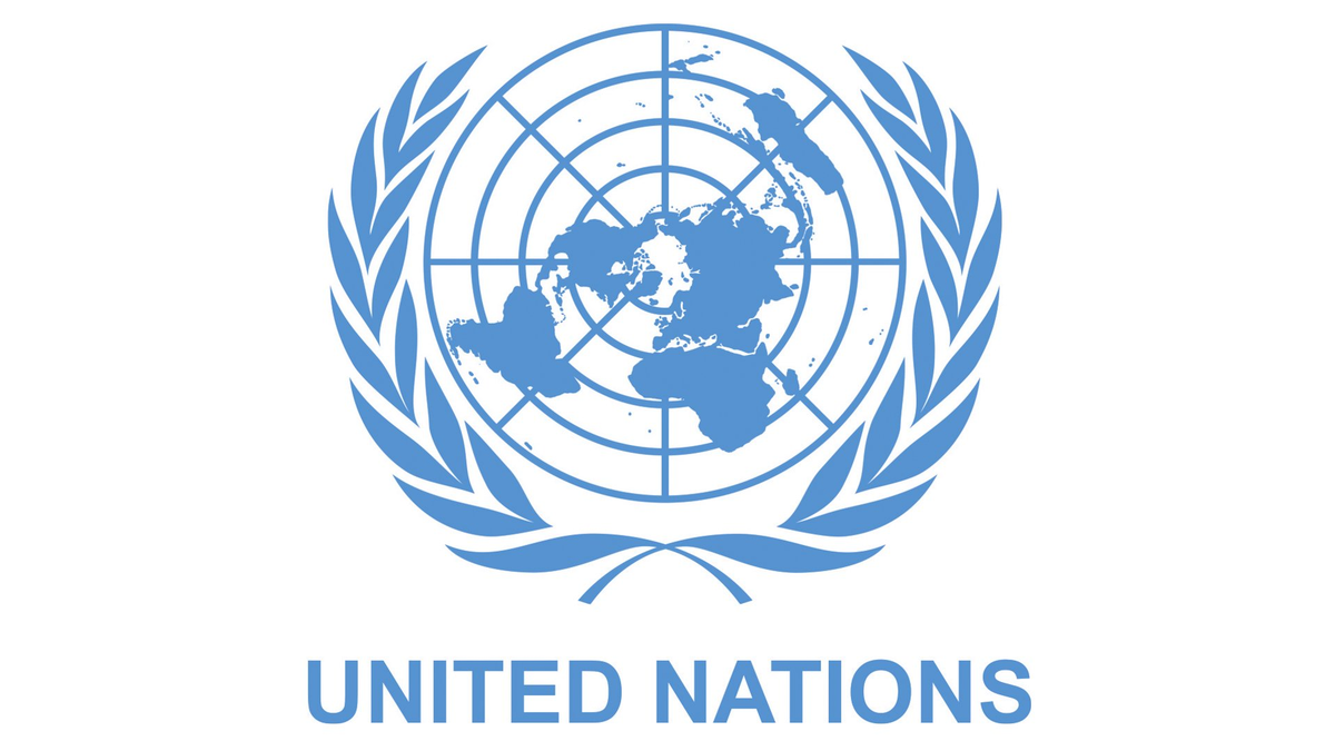 All about Model UN!