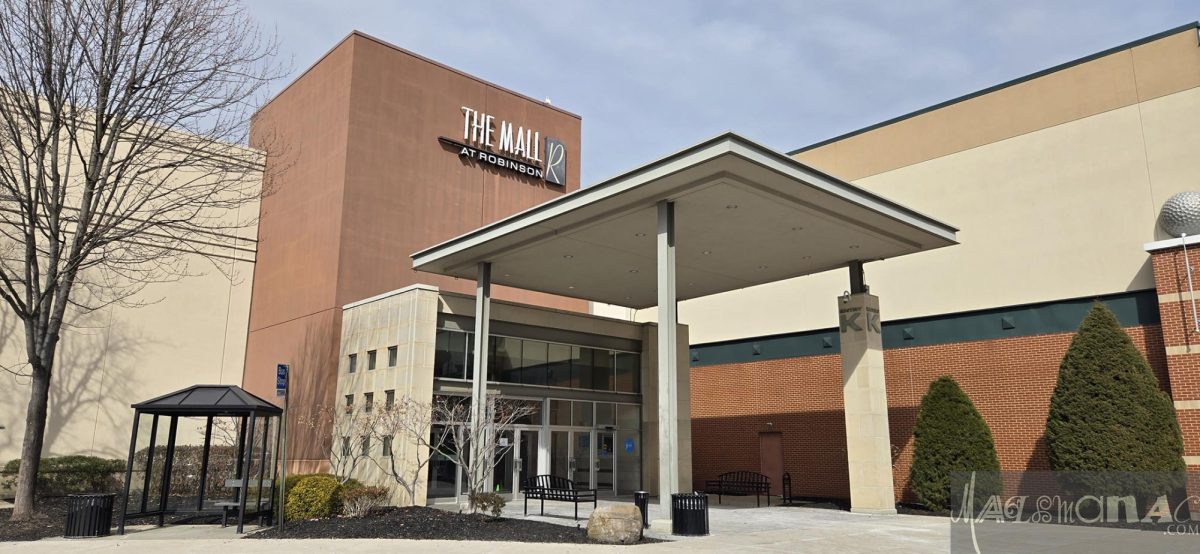 The Downfall of the Robinson Mall