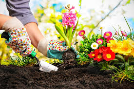 Local Gardening Activities at Moon Park this Spring